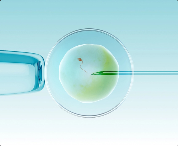 Development of a Novel Endometrial Signature Based on Endometrial microRNA...