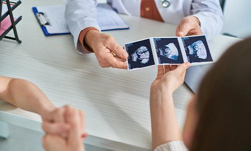 試管嬰兒是什麼？療程要多久？新手爸媽必知費用、流程、成功率一篇掌握