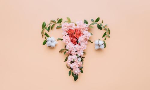 Understanding endometrium and implantation window for IVF